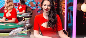 Riwayat putaran Shio Game
